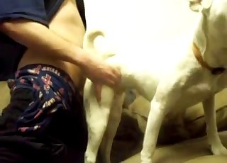 White dog sucking a huge dick of my hubby