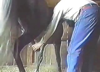 Bestiality video featuring a hung horse