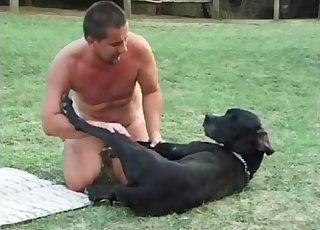 Black dog pounded hard by dirty owner