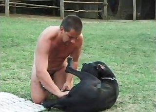 Black dog pounded hard by dirty owner