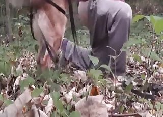 دعونا ننظر إلى هذا الكلب الجميل
