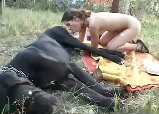 Impressive amateur bestiality with beast