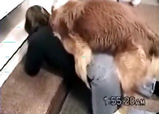 Black dog fucked her crack from behind