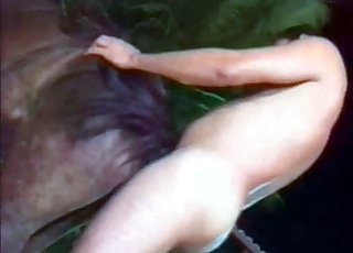 Dude violently fucking a hung horse