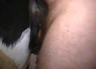 Thick cow fucked by an equally thick dude
