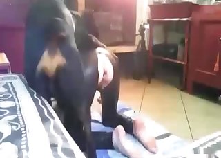 Bodysuit zoophile fucks a dog