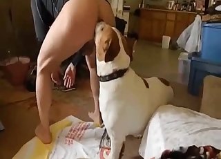 Casual seduction of a sexy doggo