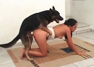 Some hot bestiality games with trained beast
