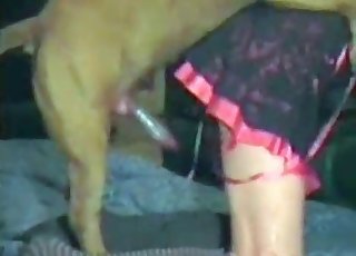 Big red rocket in her tight pussy