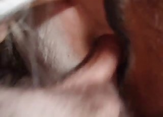 Fucking big ass of my lovely sexy pony