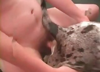 Close-up gape for a sexy-ass beast