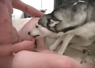 Asshole penetration for a nice-looking innocent doggy
