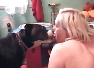 Meleg ágyban szexel egy forró kutyával, izzadt bőr és élénk szenvedély keveréke.