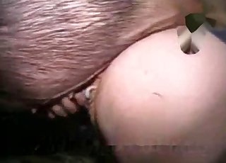 Nighttime fucking with a big-dicked pig