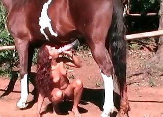 Massive and muscled stallion fucked her cunt so hard
