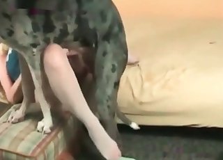 White stockings slut fucks her dog