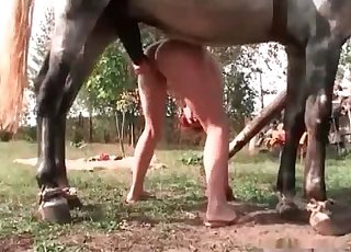 Redhead lady sucking a massive animal cock