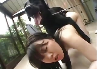 Sexy trained beast and a passionate chick