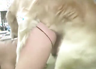 Good-looking dog is going to fuck two hoes