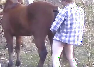 Zoo sex scene with a guy who fucks a kinky mare