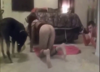 Republican couple and their dog, it's all fucking