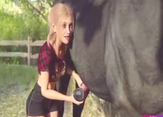 Blonde teen writes a diary and fucks horses