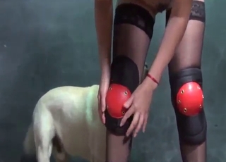 Tight-ass babe fucks a white dog in hay too