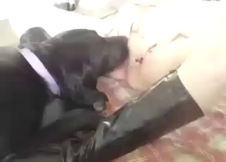 This black dog is so confident, it can just lick