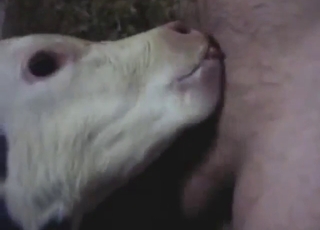 Sexy beasts are ready to suck human dicks