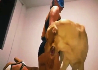 Dog cock pleasure session for a horny MILF