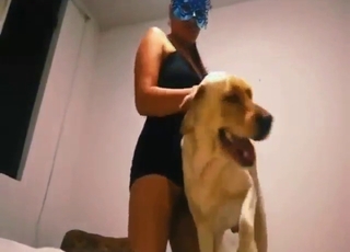 Dog cock pleasure session for a horny MILF