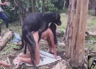 Zoo XXX highlight reel with dogs fucking women