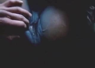 Mare's juicy vagina pleasured in POV by a guy