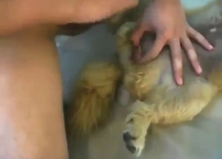 رجل أبيض ذو قضيب صلب يمارس الجنس مع كلبة عاهرة