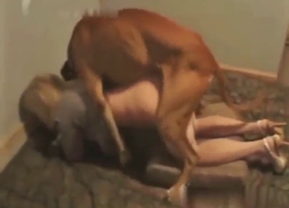 White stockings blonde MILF fucks a brown dog