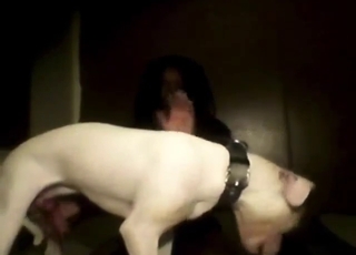 Kinky hund ger hennes duggiga kukiga håldamm royal treatment med varm spotta