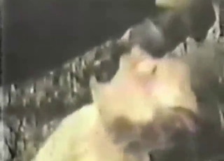 Cena vintage de zooporn com um belo boquete animal e saliva brilhante