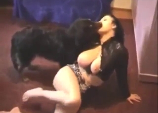 Bestiality porn shows a sexy lady getting licked
