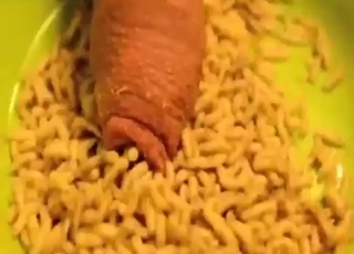 Even zoo sex can get pretty nauseating with maggots