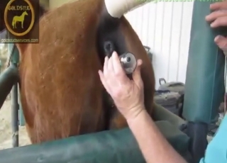 Deep insertion zoo sex with vaginal cavities