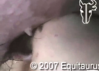 الآن لديه خنزير لطيف في فتحة الشرج الضيقة