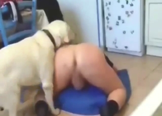 Bitch-ass zoophile getting fucked with legs up