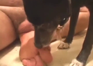 Dude shows what she can do while dominating dog