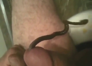 Guy wants this worm to reside in his penis