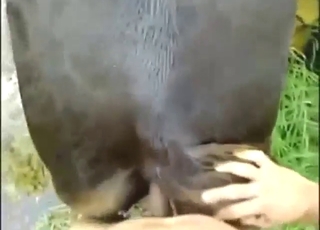 Hottest-ever zoo fuck scene with a HOT beast
