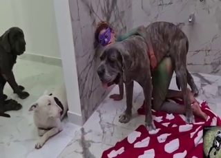 Zoo porn with a bunch of dog-fucking ladies