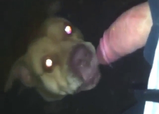 Skinny beast licking his dick and making him hot