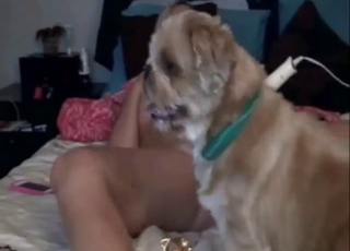 Zoo sex webcam footage with a cute blonde