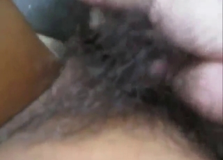 Hairy close-ups to blow your mind in zoophile porn