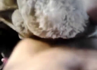 Horny and young dude fucking a stuffed toy